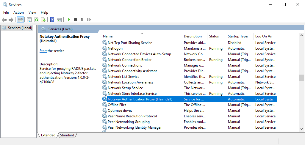 NtkP Windows Service